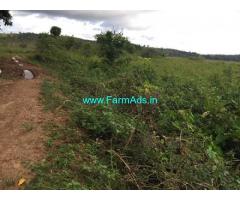 2 Acres Agriculture Land For Sale In Chikkamagaluru
