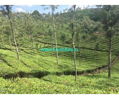 2470 acres of  Well managed Estate for sale in Idukki