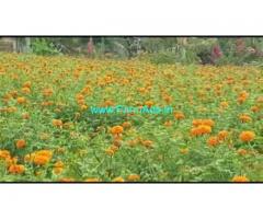 3 Acres 17 Gunta Farm Land For Sale In Sarguru