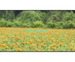3 Acres 17 Gunta Farm Land For Sale In Sarguru