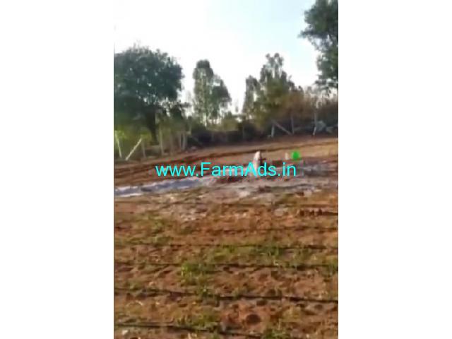 3 Acres Agriculture Land For Sale In Perasadram 3 Acres Agriculture Land For Sale In Perasadram