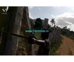 3 Acres Agriculture Land For Sale In Perasadram 3 Acres Agriculture Land For Sale In Perasadram