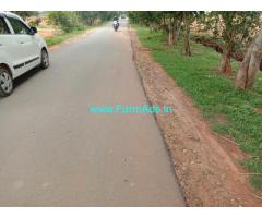 2 Acres Agriculture Land For Sale In Kasavanahalli