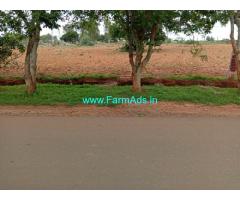 2 Acres Agriculture Land For Sale In Kasavanahalli