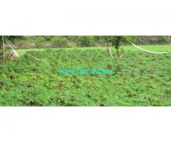 5.09 Acres Farm Land For Sale In Thottam