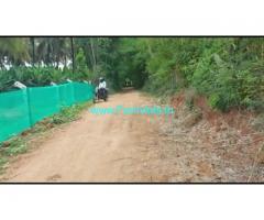4 Acres Agriculture Land For Sale In Sarguru