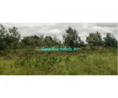 5 Acres Farm Land For Sale In Singanahalli 5 Acres Farm Land For Sale In Singanahalli