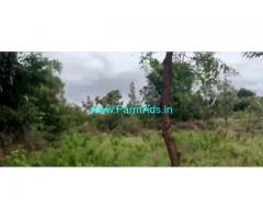 5 Acres Farm Land For Sale In Singanahalli 5 Acres Farm Land For Sale In Singanahalli
