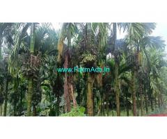 4 acres well maintained Arecanut Farm for Sale at Karkala