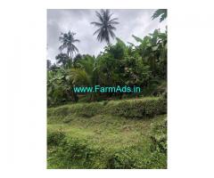 3 Acres Farm Land For Sale In Kaithappoyil
