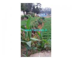 99 Cent Agriculture Land For Sale In Kakkathope