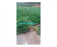 99 Cent Agriculture Land For Sale In Kakkathope