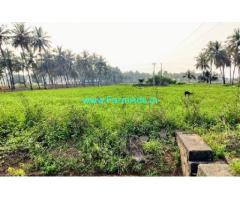 1.7 Acres Farm Land For Sale In Udumalaipetta