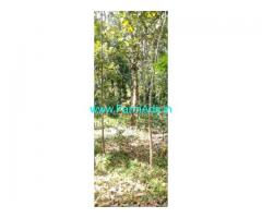 66 Cent Farm Land For Sale In Nellimukku