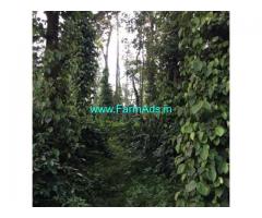 6 Acres Farm Land For Sale In Mudigere