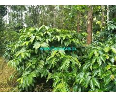 3.5 Acres Agriculture Land For Sale In Chikmagalur