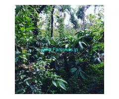 1 Acres 13 Gunta Farm Land For Sale In Mudigere