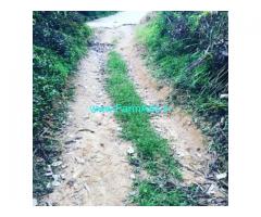 1 Acres 13 Gunta Farm Land For Sale In Mudigere 1 Acres 13 Gunta Farm Land For Sale In Mudigere