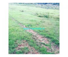 1 Acres 13 Gunta Farm Land For Sale In Mudigere 1 Acres 13 Gunta Farm Land For Sale In Mudigere