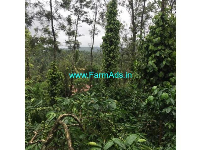 3.5 Acre Agriculture Land For Sale In Mudigere 3.5 Acre Agriculture Land For Sale In Mudigere