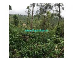 3.5 Acre Agriculture Land For Sale In Mudigere 3.5 Acre Agriculture Land For Sale In Mudigere