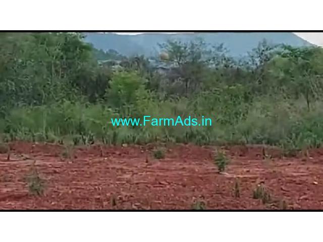 4 Acres 20 Gunta Agriculture Land For Sale In Shimshapura 4 Acres 20 Gunta Agriculture Land For Sale In Shimshapura