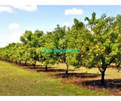 73 Acers Agriculture Land For Sale In Chengalpattu