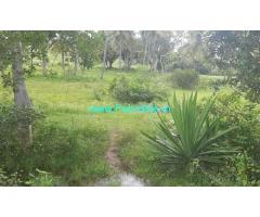 11 Gunta Agriculture Land For Sale In Avverahalli