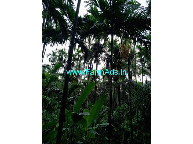 5 Acres Agriculture Land For Sale In Kukkesubramanya 5 Acres Agriculture Land For Sale In Kukkesubramanya