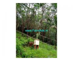 5 Acres Agriculture Land For Sale In Kukkesubramanya 5 Acres Agriculture Land For Sale In Kukkesubramanya
