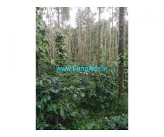 2.5 Acres Farm Land For Sale In Thornamavu