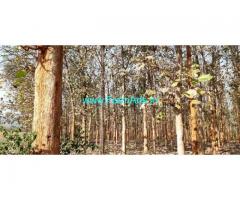 43 Acres Farm Land For Sale In Shikaripura