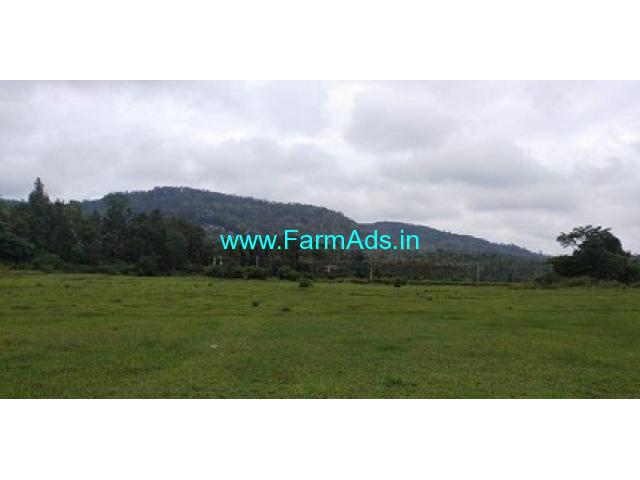 1 Acres 25 Gunta Agriculture Land For Sale In Mudigere 1 Acres 25 Gunta Agriculture Land For Sale In Mudigere