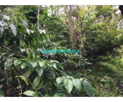 1.5 Acres Agriculture Land For Sale In Mudigere
