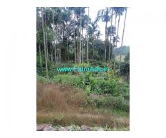 1.12 Guntas Agriculture Land For Sale In Mudigere