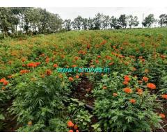 3 Acres Agriculture Land For Sale In Kabini