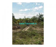 Total acres 214 Acres Coconut Farm for Sale Near Sivakasi