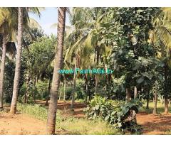 20 Acres Coconut Farm Land for Sale near Holenarasipura
