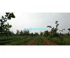 250 Acres Farm Land For Sale In Veligondla