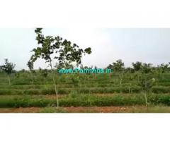 250 Acres Farm Land For Sale In Veligondla