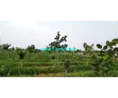 250 Acres Farm Land For Sale In Veligondla