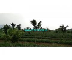 250 Acres Farm Land For Sale In Veligondla