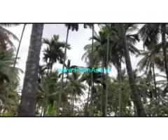11 Acres 19 Gunta Farm Land For Sale In Nanjangudu