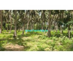 1.9 Acre Farm Land For Sale In Marakanam