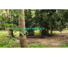 50 Cents Agriculture Land For Sale In Edaikazhinadu