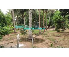 2.8 Acres Farm Land For Sale In Edaikazhinadu
