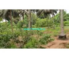 2.8 Acres Farm Land For Sale In Edaikazhinadu