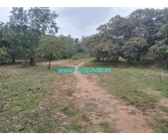 43 Acres Agriculture Land For Sale In Srikakulam