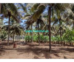2.70 Acre Farm Land For Sale In Senjerimalai