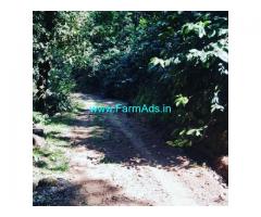 19.11 acre coffee estate for sale in Chikkamagaluru